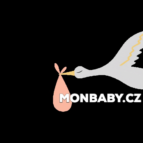 monbaby_cz giphygifmaker baby cap miminko GIF
