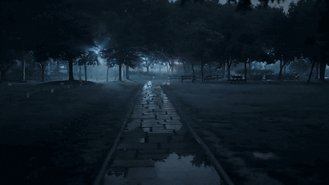 jseinyyi giphyupload GIF