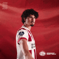 Celebrate Football Club GIF by PSV