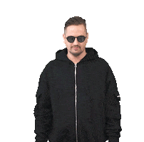 Robin Gif No Sticker by Robin Schulz