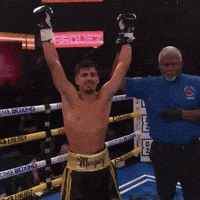 Gio Marquez GIF by VIVA HOUSTON