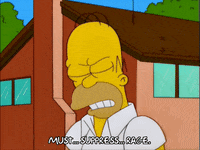 homer simpson GIF