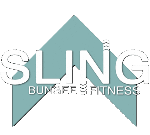 Fitness Bungeefitness Sticker by Sling Bungee