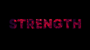 fitness workout GIF by Tone House