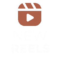 Video Sticker by FocusandBloom