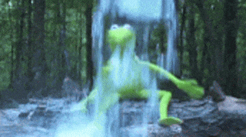 Muppets gif. A shower of water douses Kermit the Frog as he sits on a rock with his arms outstretched and lips quivering.