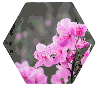 Горы Sticker by bigaltai