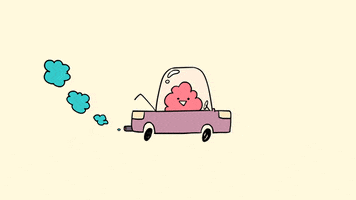 janicechun car driving pollution on the road GIF