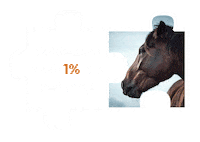 Vegan Viva Sticker by Fundacja Viva!