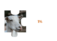 Vegan Viva Sticker by Fundacja Viva!