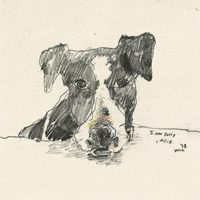 sorry i love you GIF by Will Kim