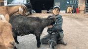 CatskillAnimalSanctuary hug animal vegan turkey GIF