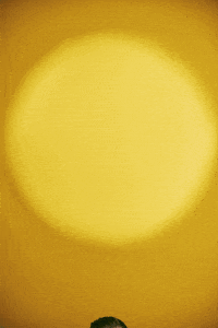 Damon Sharpe White Thriller GIF by Damon Sharpe