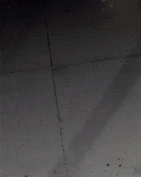 Vasco Da Gama GIF