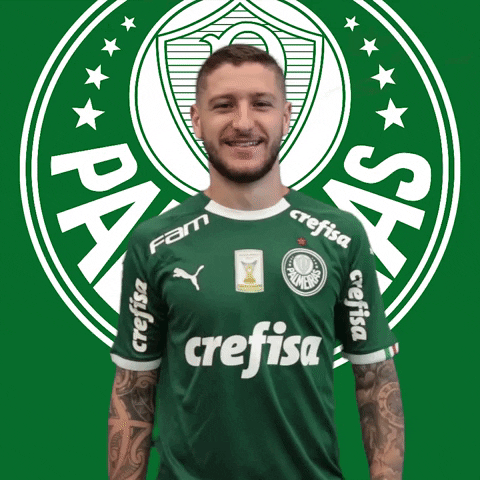 Palmeiras giphyupload soccer clap high five GIF