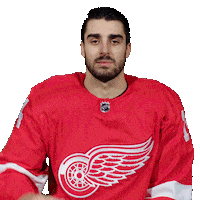 Red Wings Nhl Sticker by Detroit Red Wings
