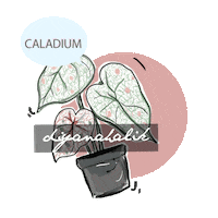 Plants Dhladies Sticker by DiyanaHalik