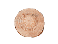 Rejardinar Sticker