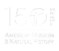 logo amnh150 Sticker by American Museum of Natural History