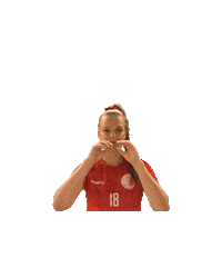 uhcvisperlions lions floorball unihockey wallis Sticker