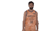 Liga Endesa Basketball Sticker by ACB