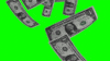 green screen bills GIF