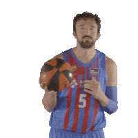 Fc Barcelona Basketball Sticker by ACB