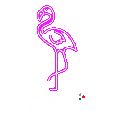 gpsinsight giphyupload insight gps gpsinsight Sticker