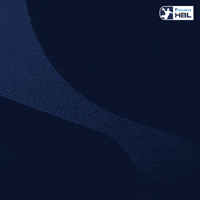 Handball Sg GIF by DAIKIN HBL