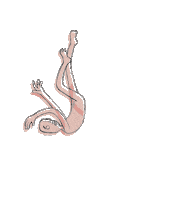 Up In The Air Falling Sticker