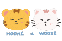 세븐틴 Carat Sticker