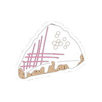 DaniBDesigns scone bakedgoods cravingsbb cravingsbakeshop Sticker