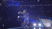 Halftime Show Football GIF by NFL