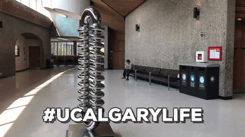 ucalgary yyc ucalgary university of calgary canadian universities GIF