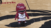 Regular Season Fun GIF by NBA