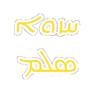 salemsvision giphygifmaker vision salem assyrian Sticker