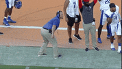 gsupanthers gsu georgia state gsupanthers football coach GIF