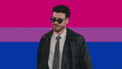 Bi Flag GIF