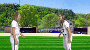 Warriors Softball GIF by WinonaStateATH