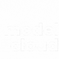 TheModelCloud tmc the model cloud model cloud modelcloud GIF