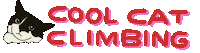 Cool Cat Sticker