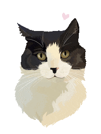 Cat Adopt Sticker by Watertown Humane Society