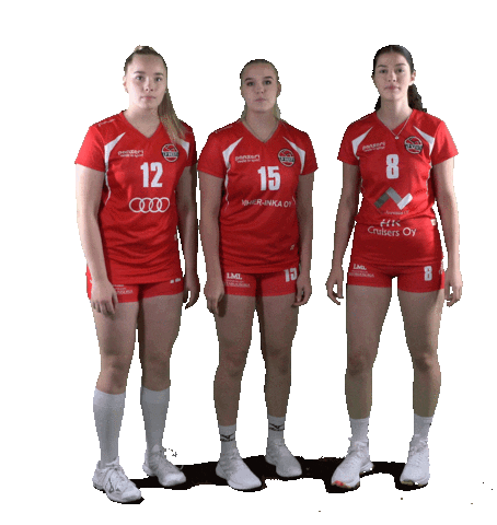 Sport Volleyball Sticker by LP Viesti