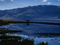 You Can Wow GIF by FranchiseONE.de