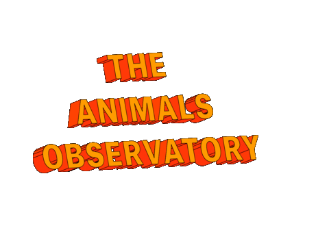 Sticker by The Animals Observatory
