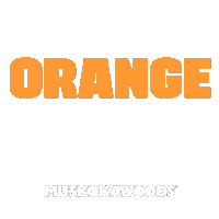 Orange Camp Sticker by Muskoka Woods