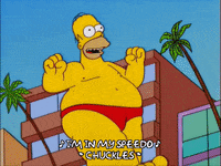 homer simpson beach GIF