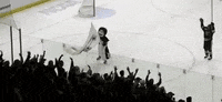 mascot friar GIF by Providence Friars