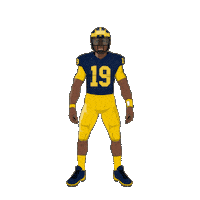 Go Blue Sticker by Panini America