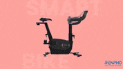 Fitness Health GIF by RENPHO